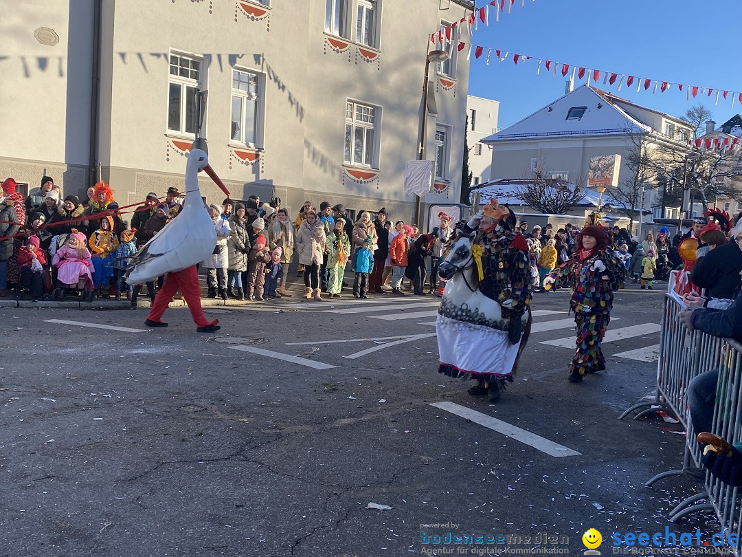 100 Jahre VSAN Narrentreffen: Weingarten, 21.01.2024