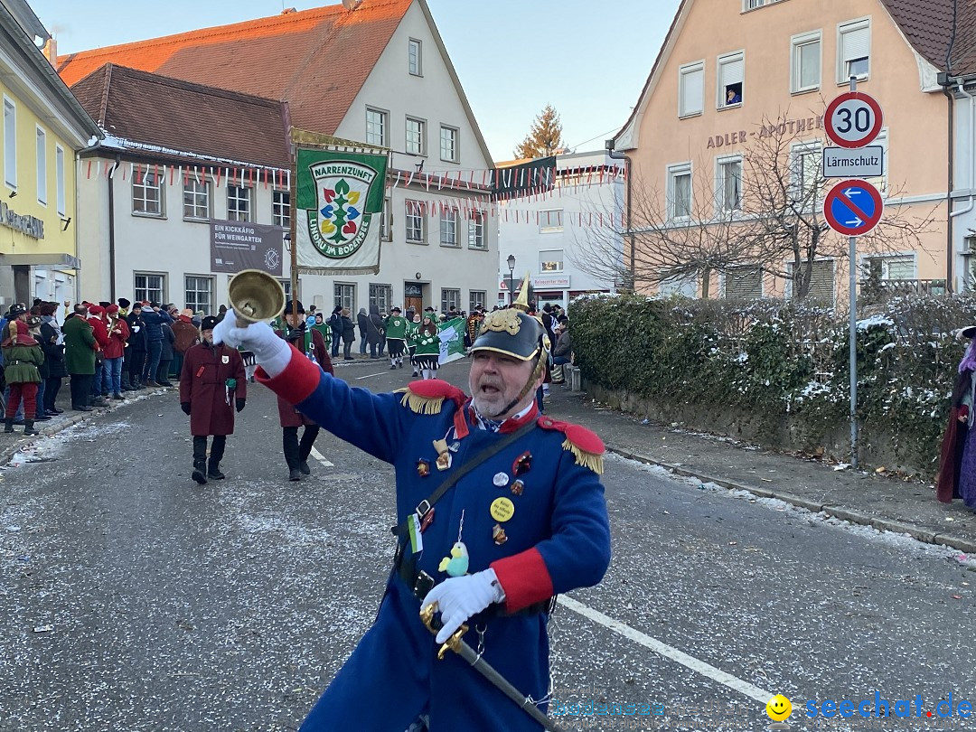 100 Jahre VSAN Narrentreffen: Weingarten, 21.01.2024