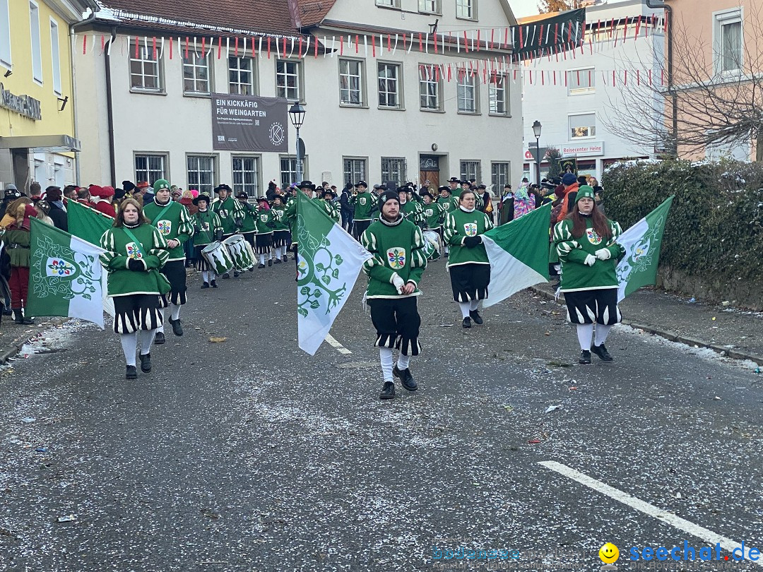 100 Jahre VSAN Narrentreffen: Weingarten, 21.01.2024