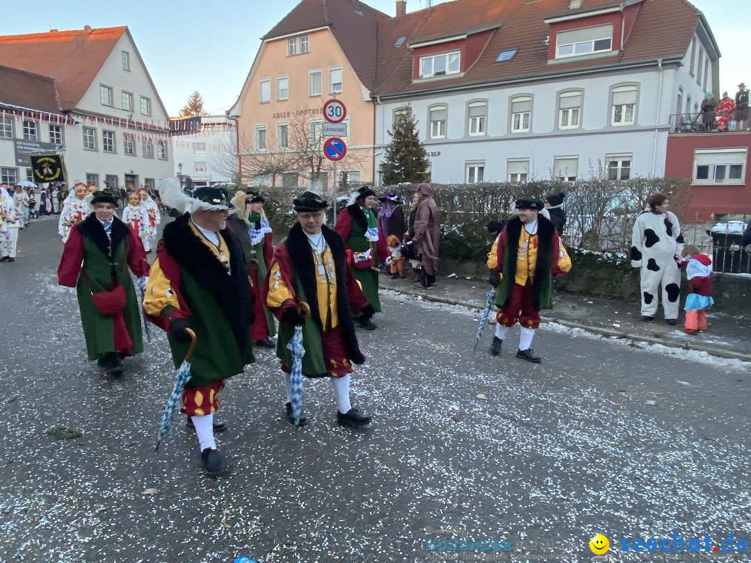 100 Jahre VSAN Narrentreffen: Weingarten, 21.01.2024