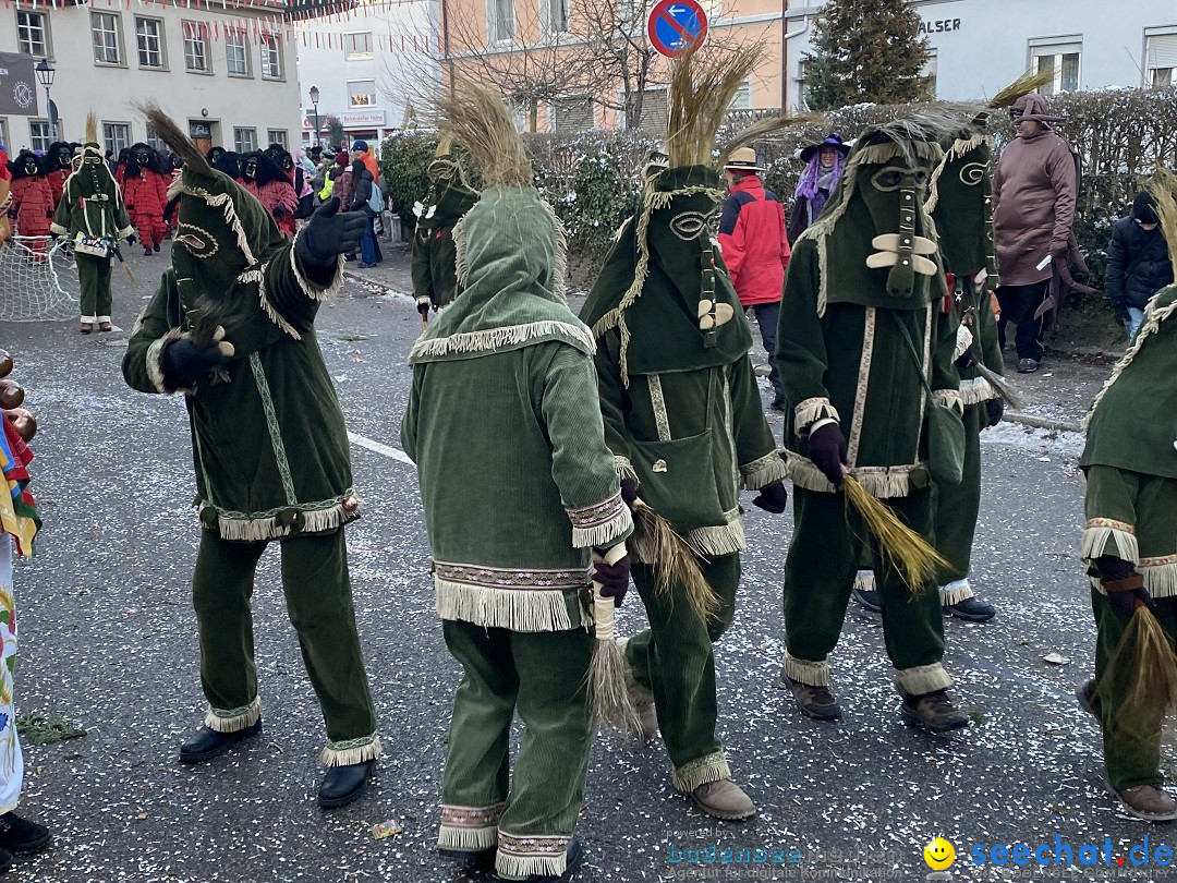 100 Jahre VSAN Narrentreffen: Weingarten, 21.01.2024