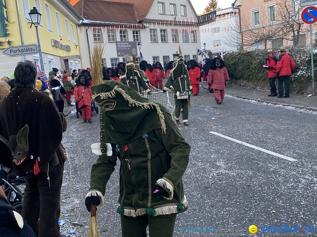 100 Jahre VSAN Narrentreffen: Weingarten, 21.01.2024