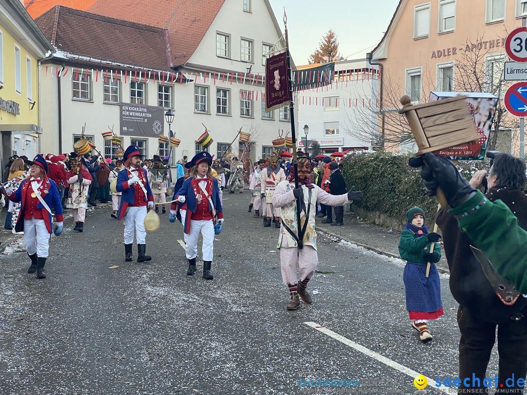 100 Jahre VSAN Narrentreffen: Weingarten, 21.01.2024