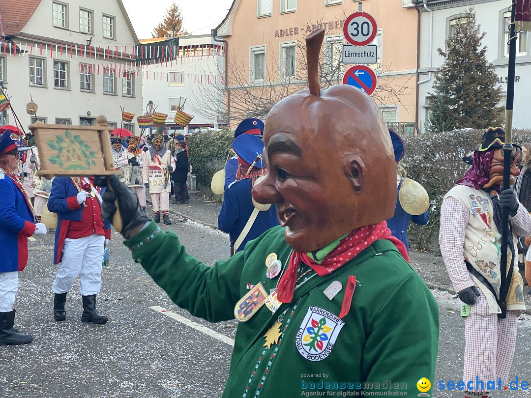 100 Jahre VSAN Narrentreffen: Weingarten, 21.01.2024