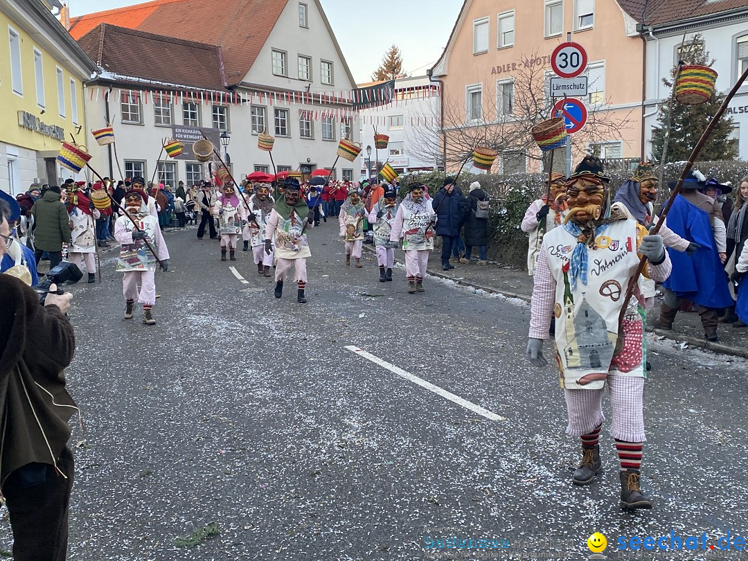 100 Jahre VSAN Narrentreffen: Weingarten, 21.01.2024