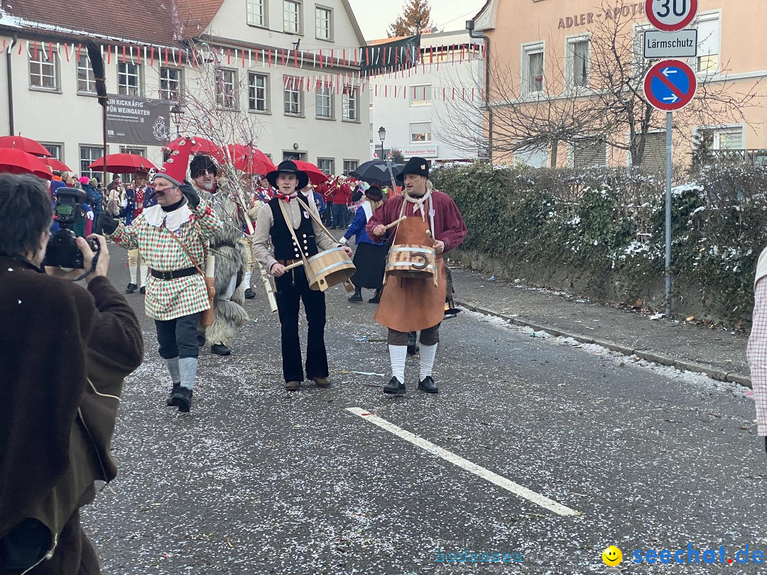 100 Jahre VSAN Narrentreffen: Weingarten, 21.01.2024