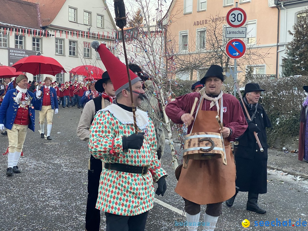 100 Jahre VSAN Narrentreffen: Weingarten, 21.01.2024