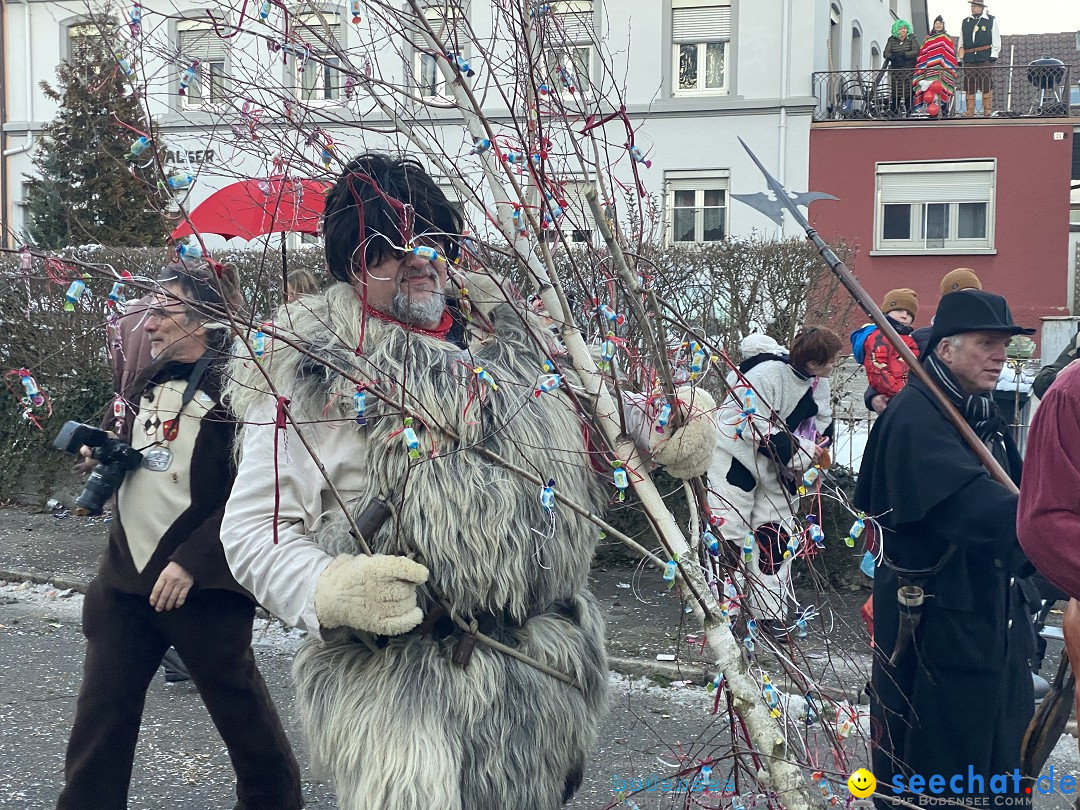 100 Jahre VSAN Narrentreffen: Weingarten, 21.01.2024