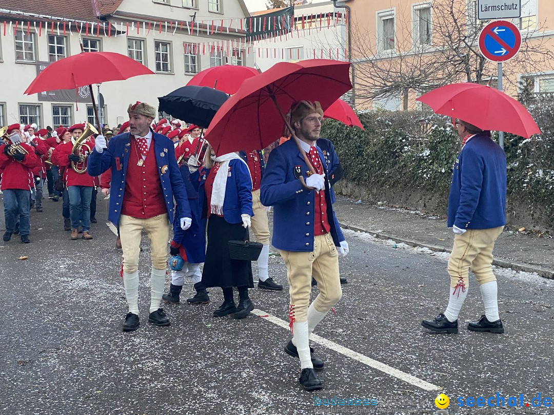 100 Jahre VSAN Narrentreffen: Weingarten, 21.01.2024