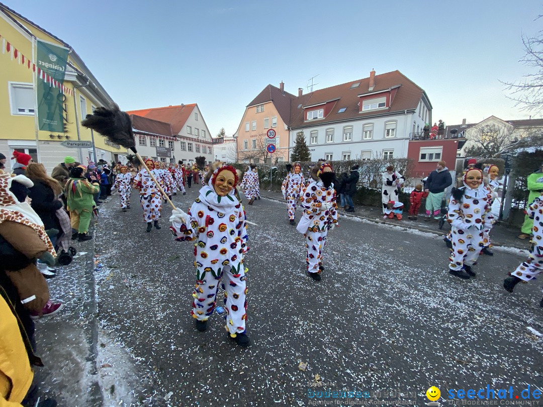 100 Jahre VSAN Narrentreffen: Weingarten, 21.01.2024