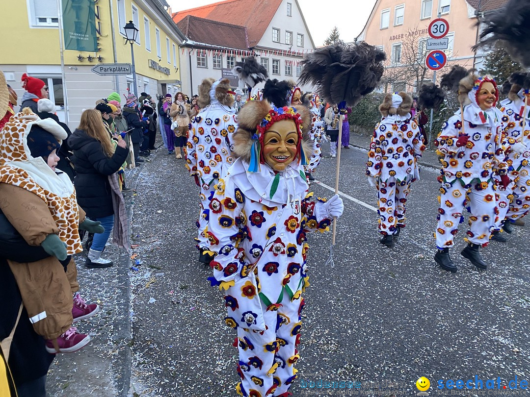 100 Jahre VSAN Narrentreffen: Weingarten, 21.01.2024