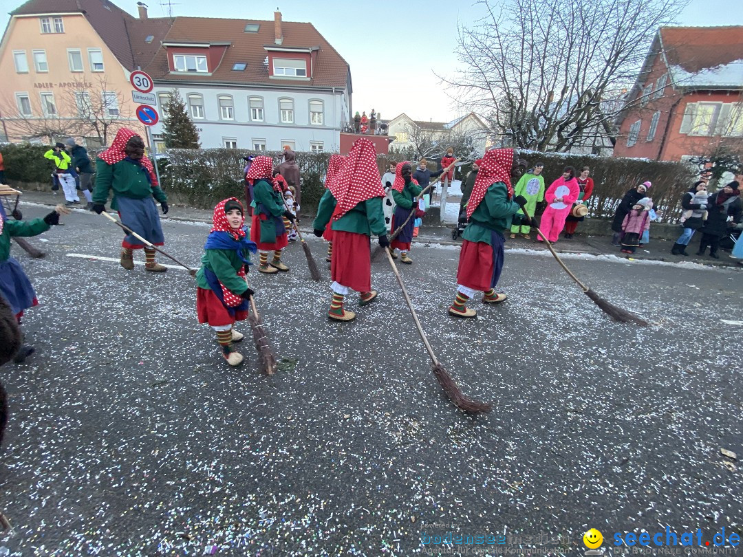 100 Jahre VSAN Narrentreffen: Weingarten, 21.01.2024