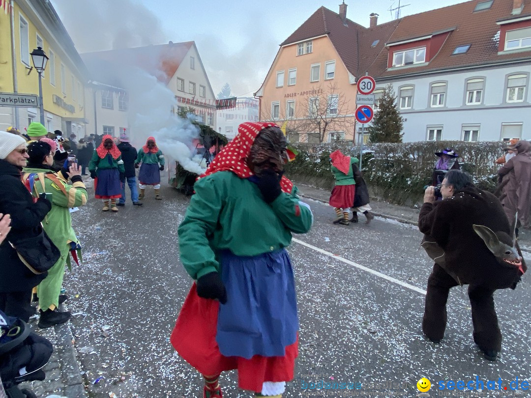 100 Jahre VSAN Narrentreffen: Weingarten, 21.01.2024