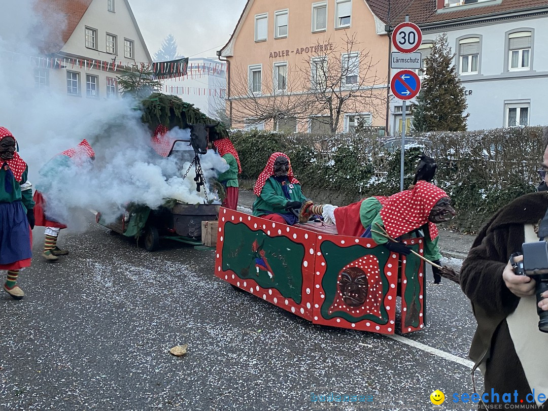 100 Jahre VSAN Narrentreffen: Weingarten, 21.01.2024