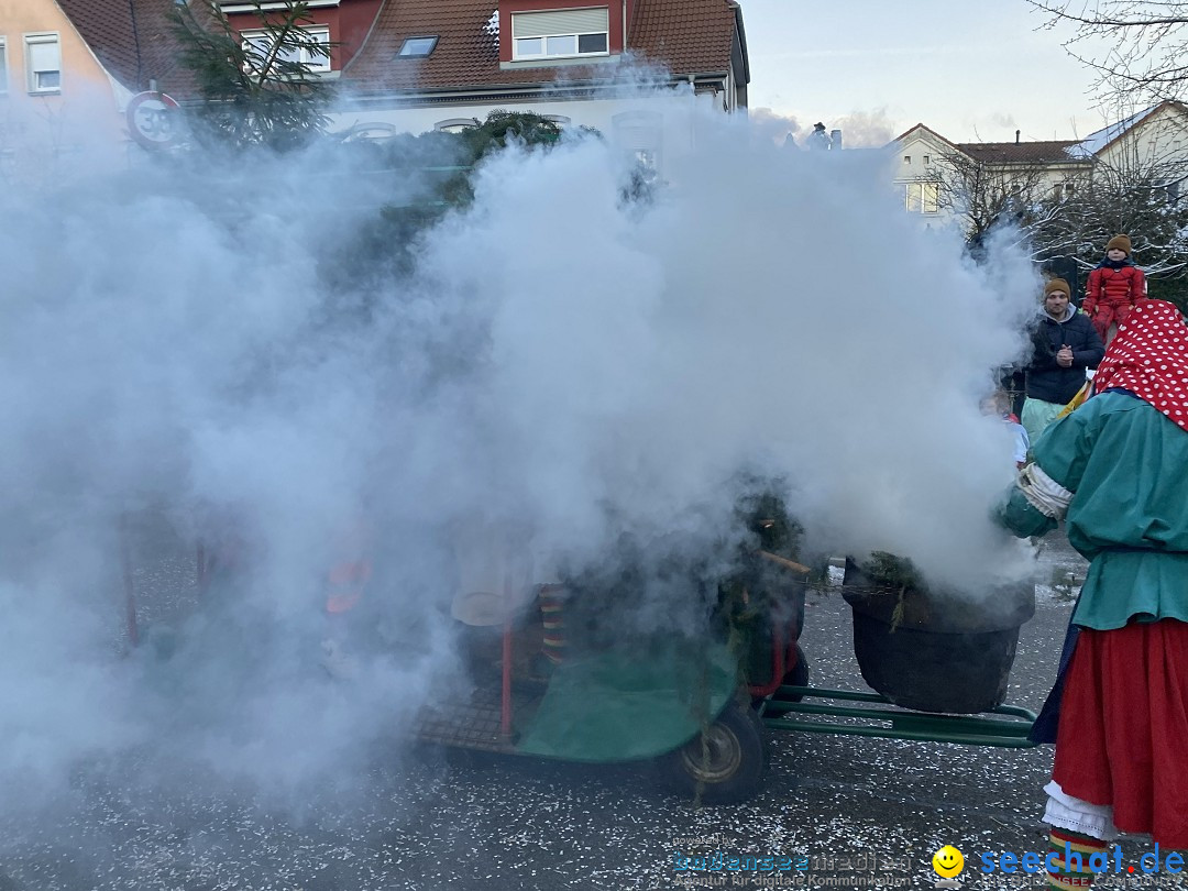 100 Jahre VSAN Narrentreffen: Weingarten, 21.01.2024