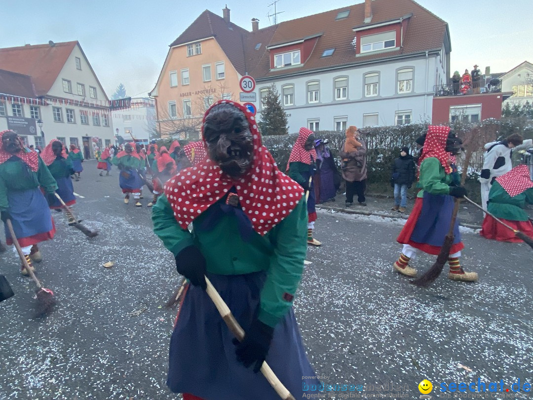 100 Jahre VSAN Narrentreffen: Weingarten, 21.01.2024