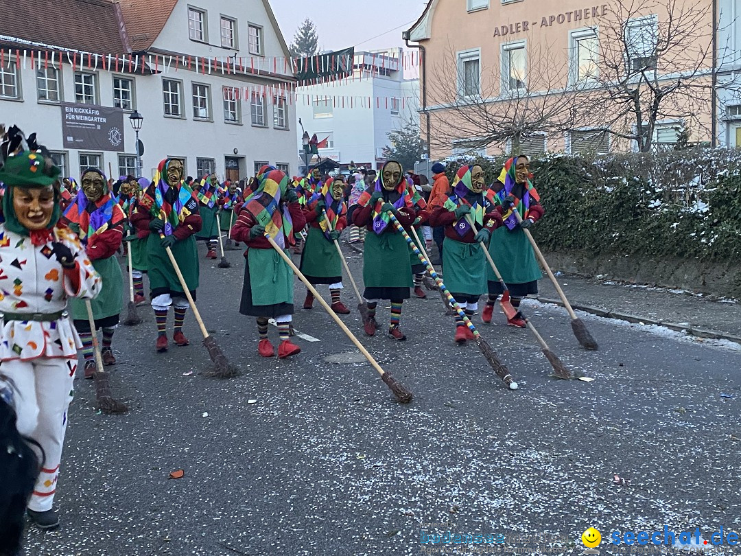 100 Jahre VSAN Narrentreffen: Weingarten, 21.01.2024