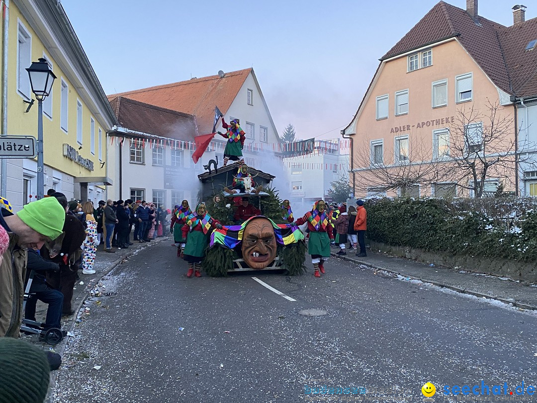 100 Jahre VSAN Narrentreffen: Weingarten, 21.01.2024