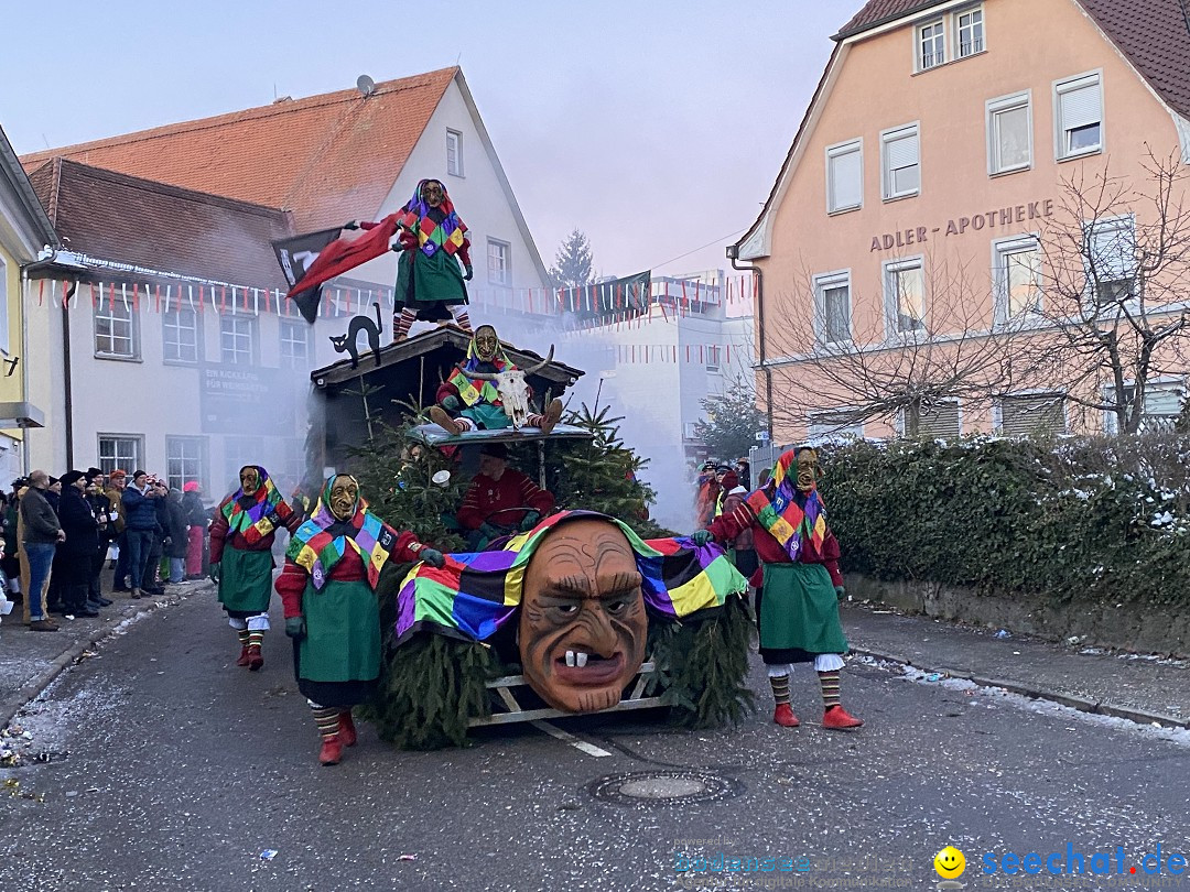 100 Jahre VSAN Narrentreffen: Weingarten, 21.01.2024