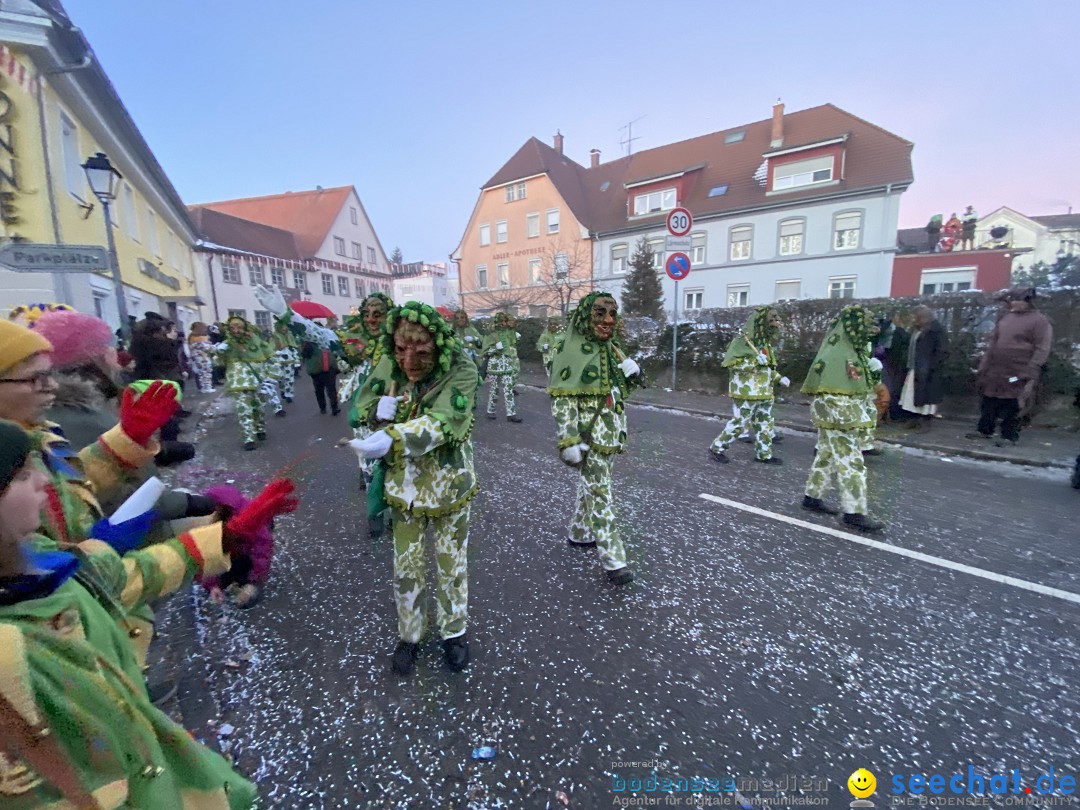 100 Jahre VSAN Narrentreffen: Weingarten, 21.01.2024