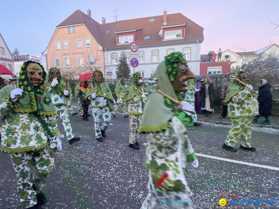 100 Jahre VSAN Narrentreffen: Weingarten, 21.01.2024