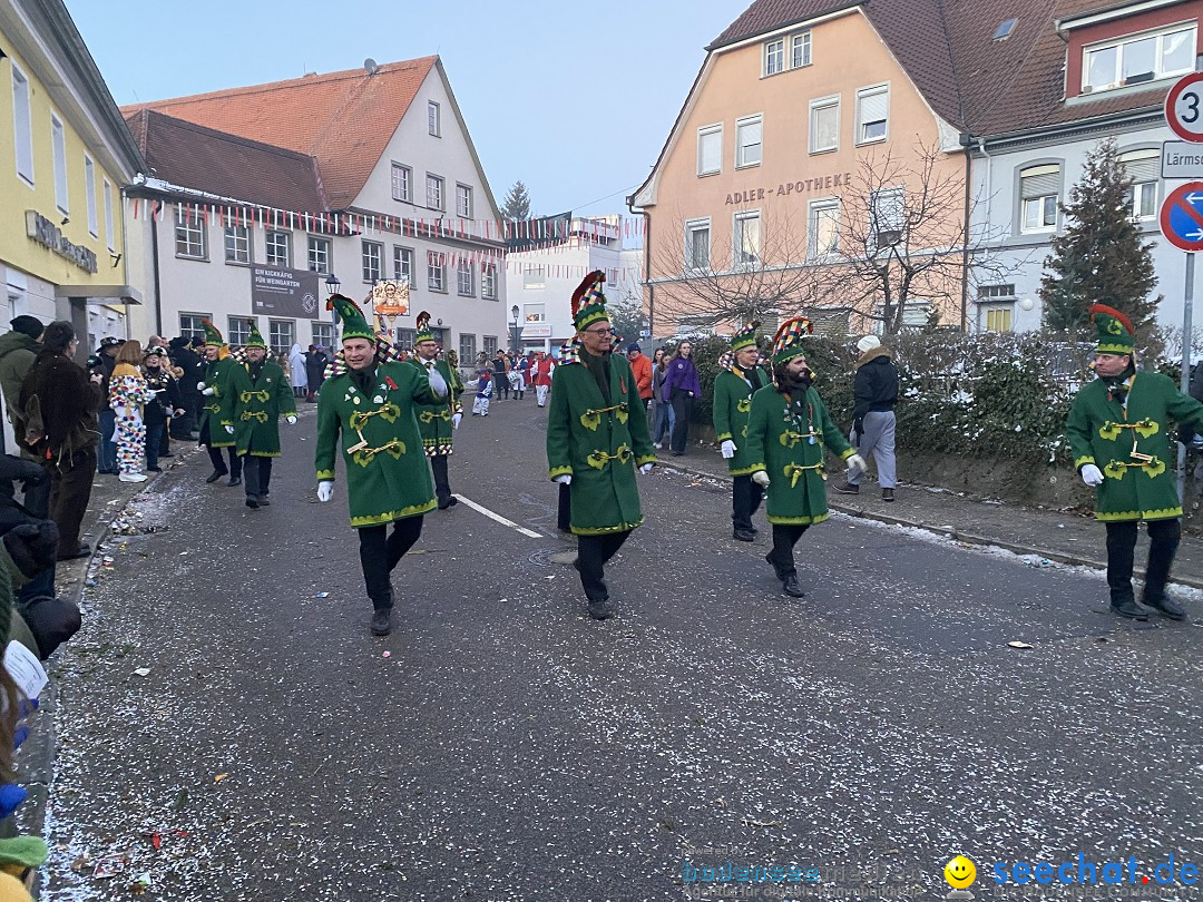 100 Jahre VSAN Narrentreffen: Weingarten, 21.01.2024