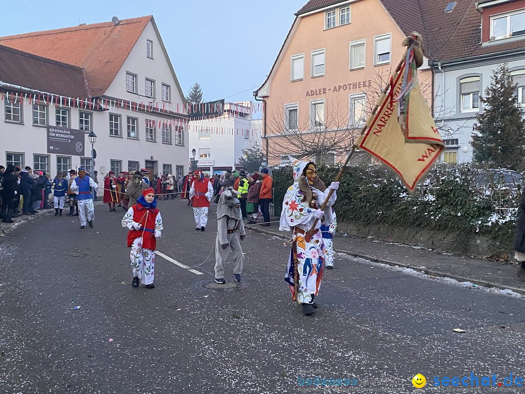 100 Jahre VSAN Narrentreffen: Weingarten, 21.01.2024