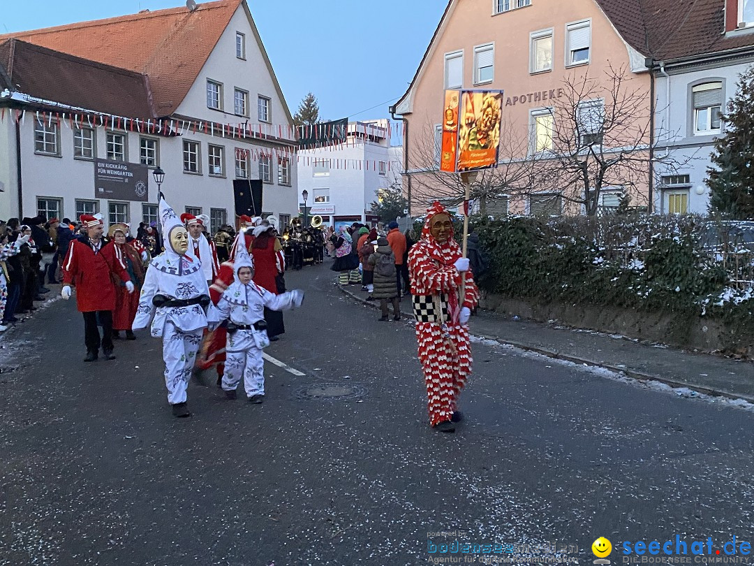 100 Jahre VSAN Narrentreffen: Weingarten, 21.01.2024