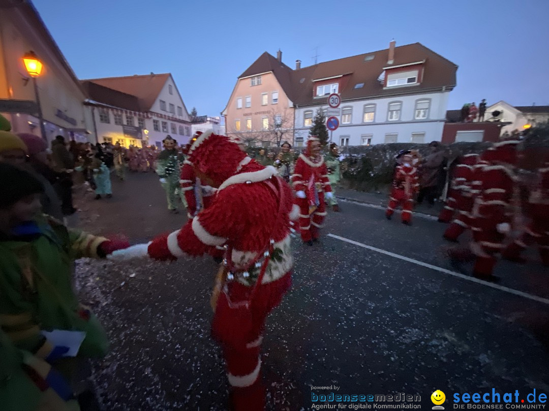 100 Jahre VSAN Narrentreffen: Weingarten, 21.01.2024