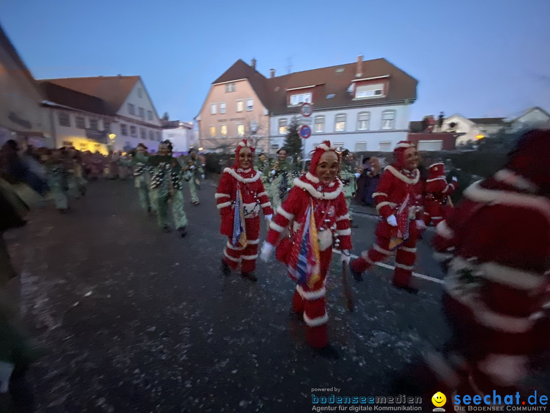 100 Jahre VSAN Narrentreffen: Weingarten, 21.01.2024