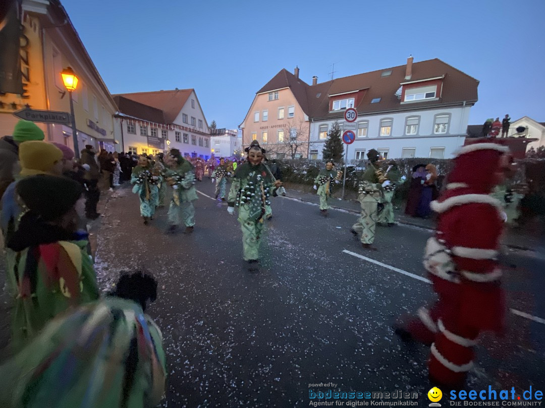 100 Jahre VSAN Narrentreffen: Weingarten, 21.01.2024