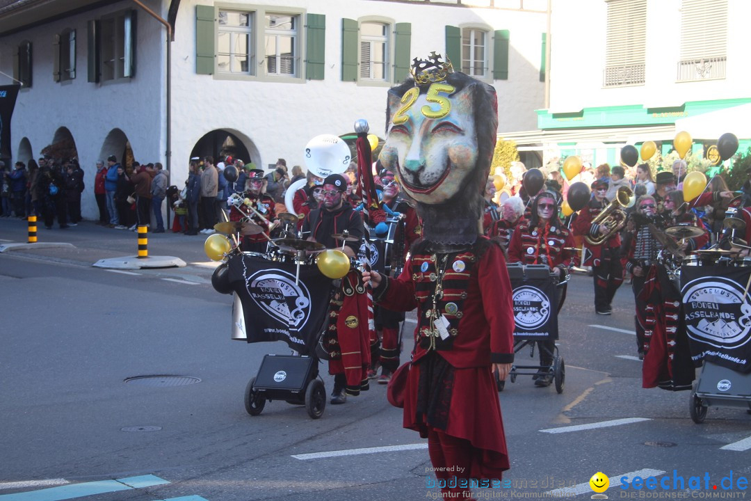 Fasnachtsumzug: Thun - Schweiz, 28.01.2024