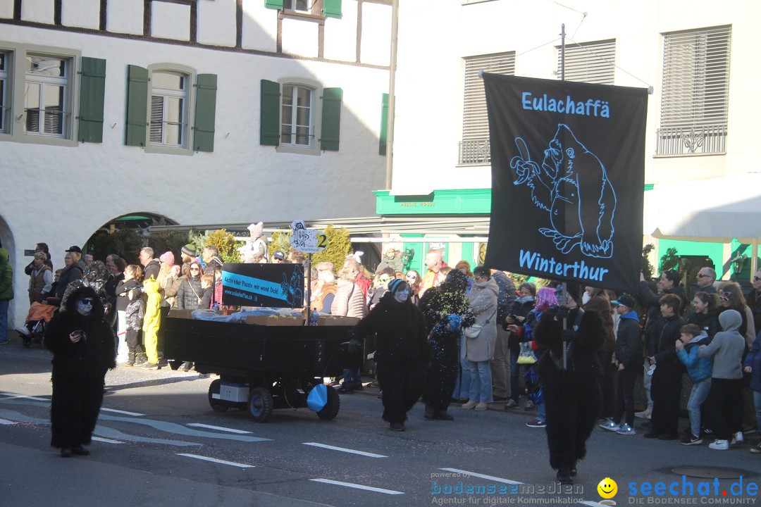 Fasnachtsumzug: Thun - Schweiz, 28.01.2024