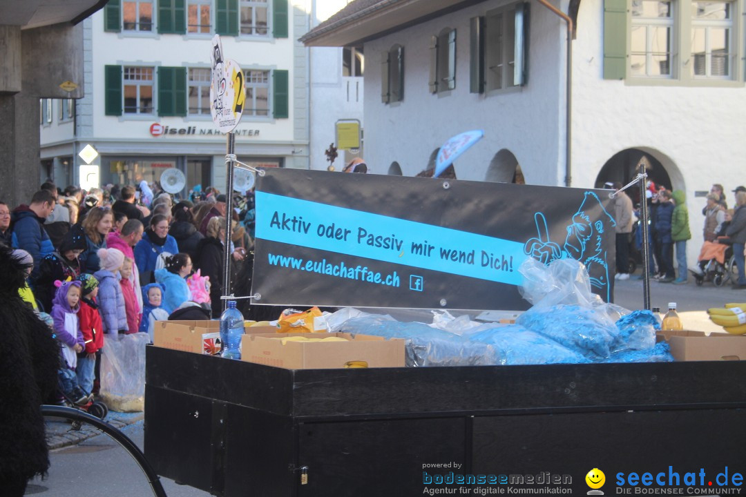 Fasnachtsumzug: Thun - Schweiz, 28.01.2024