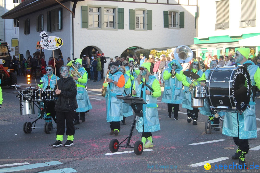 Fasnachtsumzug: Thun - Schweiz, 28.01.2024