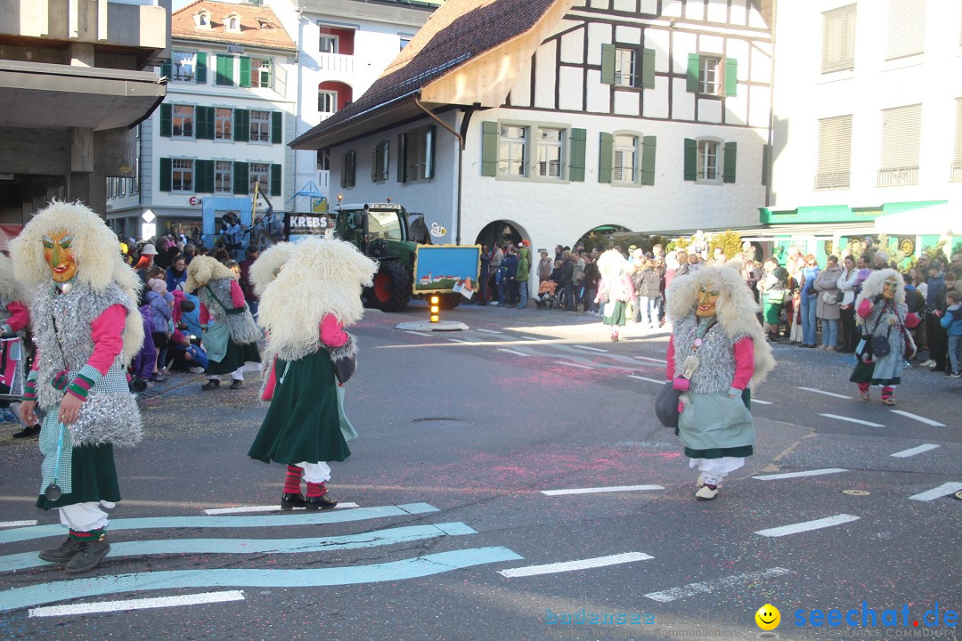 Fasnachtsumzug: Thun - Schweiz, 28.01.2024