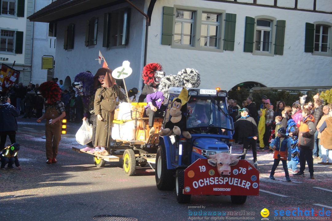 Fasnachtsumzug: Thun - Schweiz, 28.01.2024