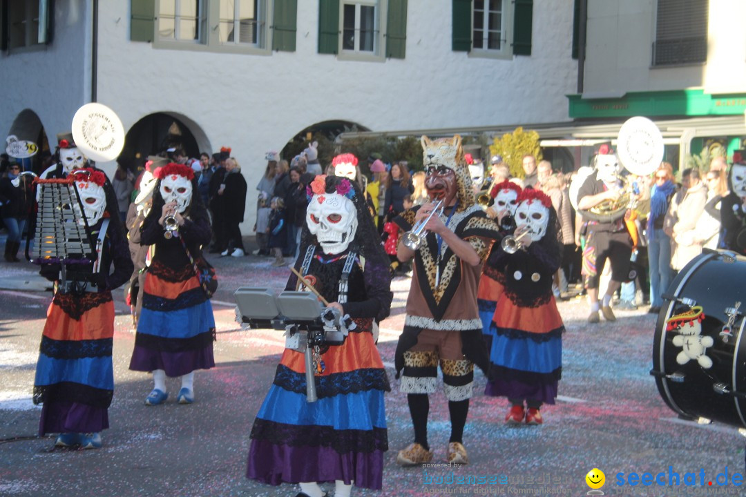 Fasnachtsumzug: Thun - Schweiz, 28.01.2024