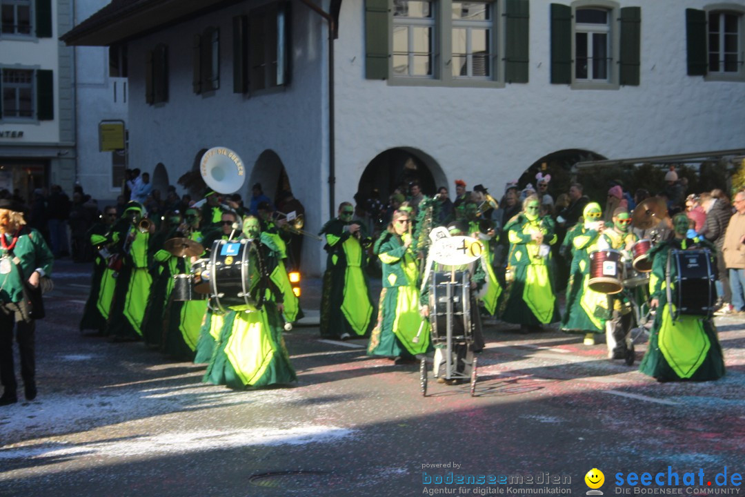 Fasnachtsumzug: Thun - Schweiz, 28.01.2024