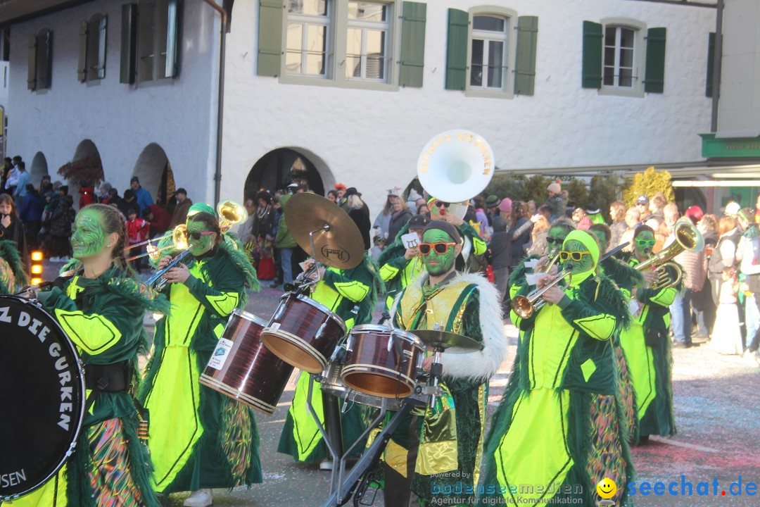 Fasnachtsumzug: Thun - Schweiz, 28.01.2024