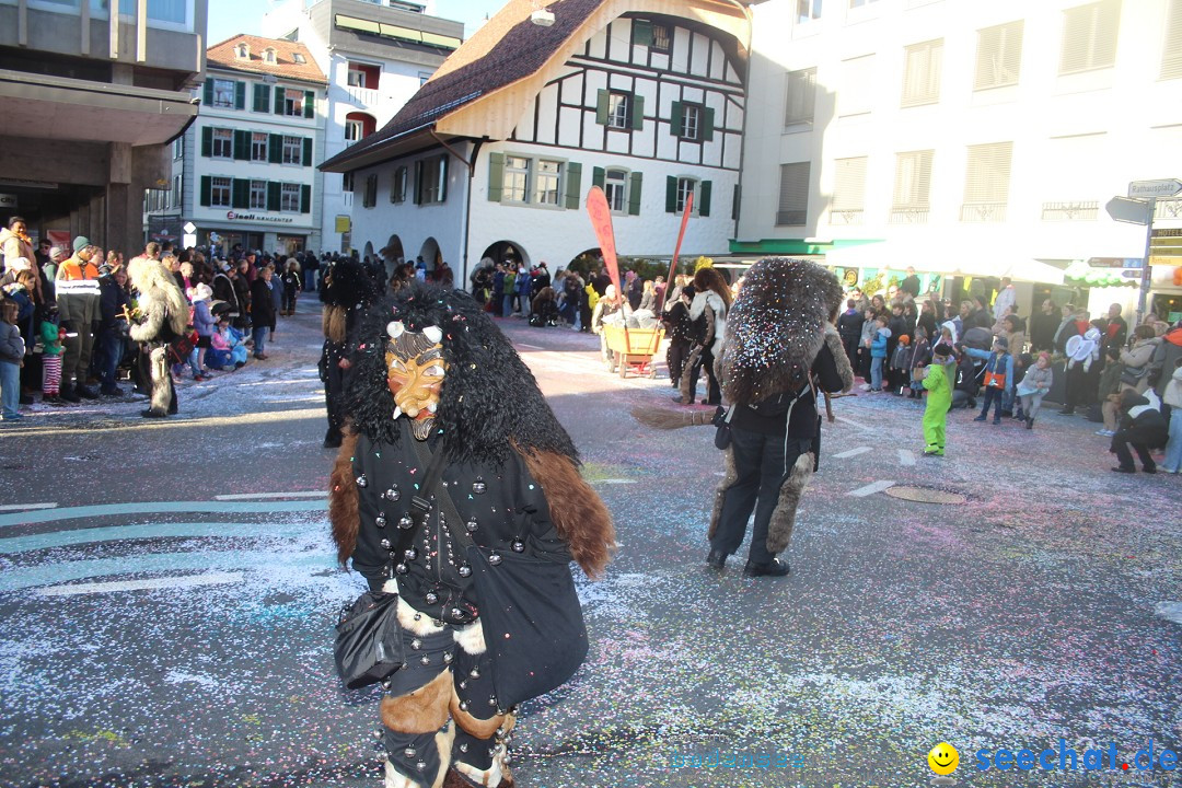 Fasnachtsumzug: Thun - Schweiz, 28.01.2024