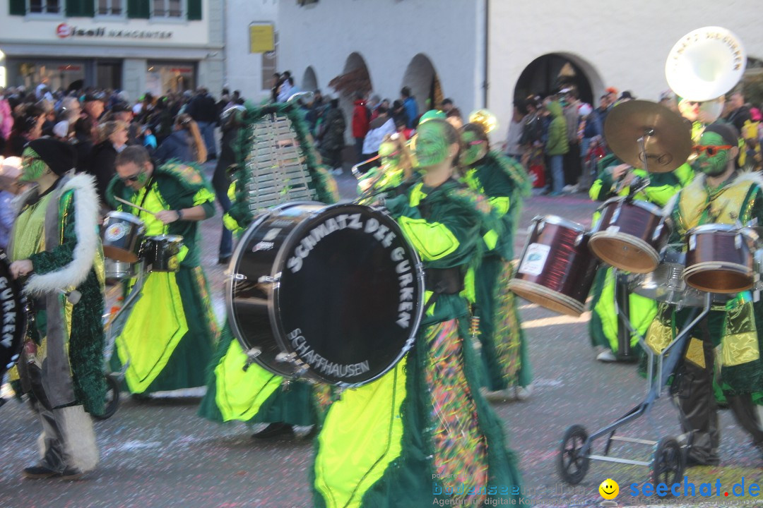 Fasnachtsumzug: Thun - Schweiz, 28.01.2024