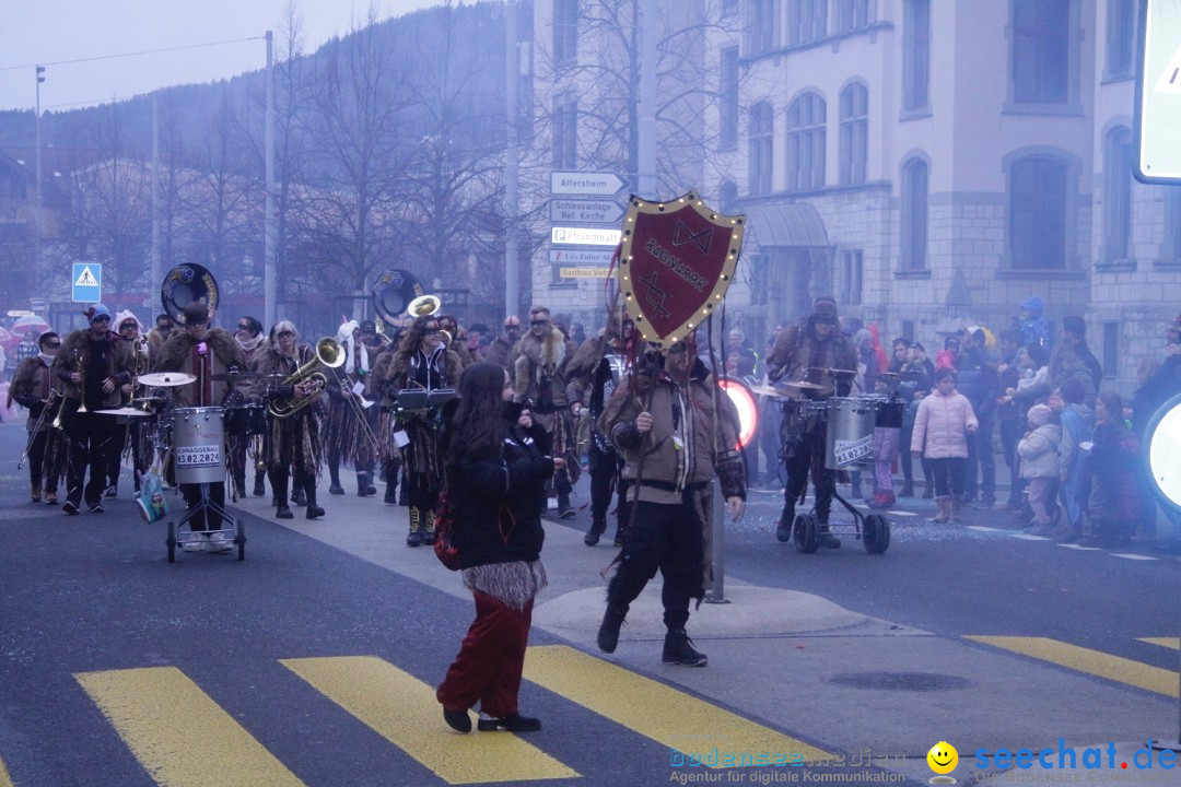 Nachtumzug: Reinach, 09.02.2024