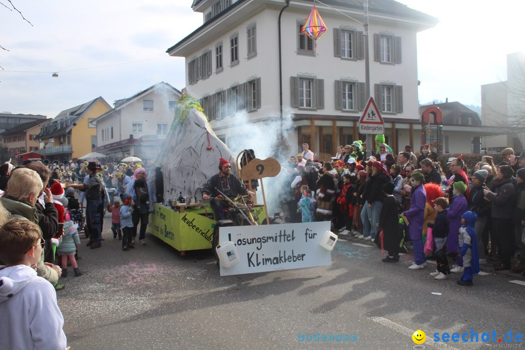 Fasnachtsumzug - Dagmersellen, 10.02.2024