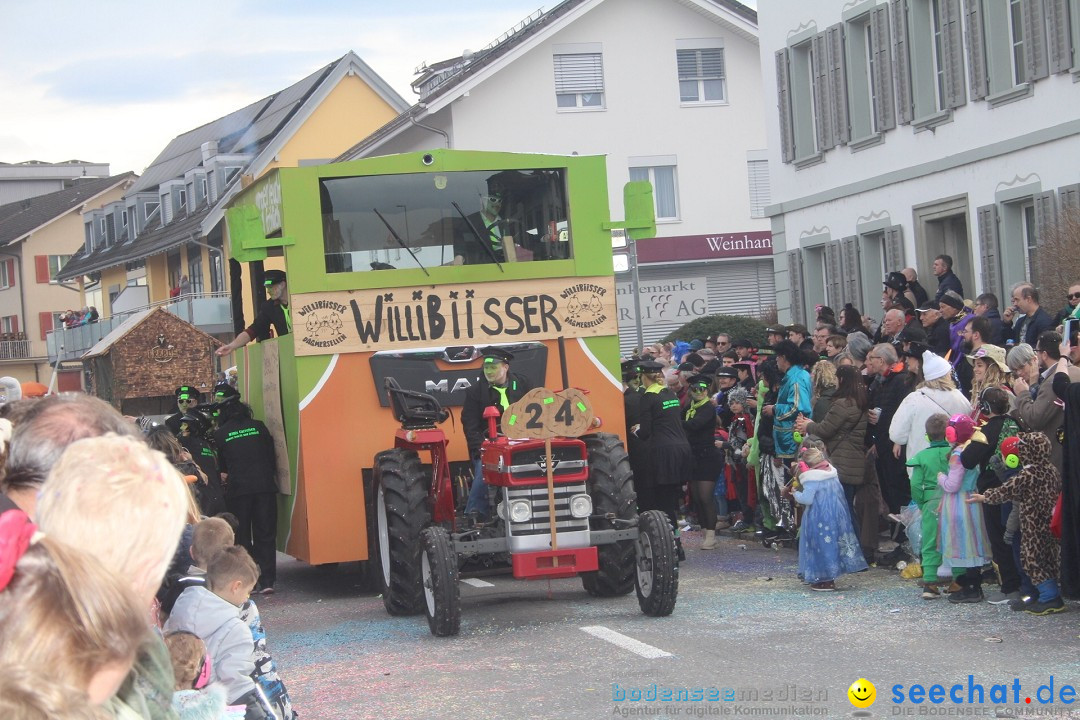 Fasnachtsumzug - Dagmersellen, 10.02.2024