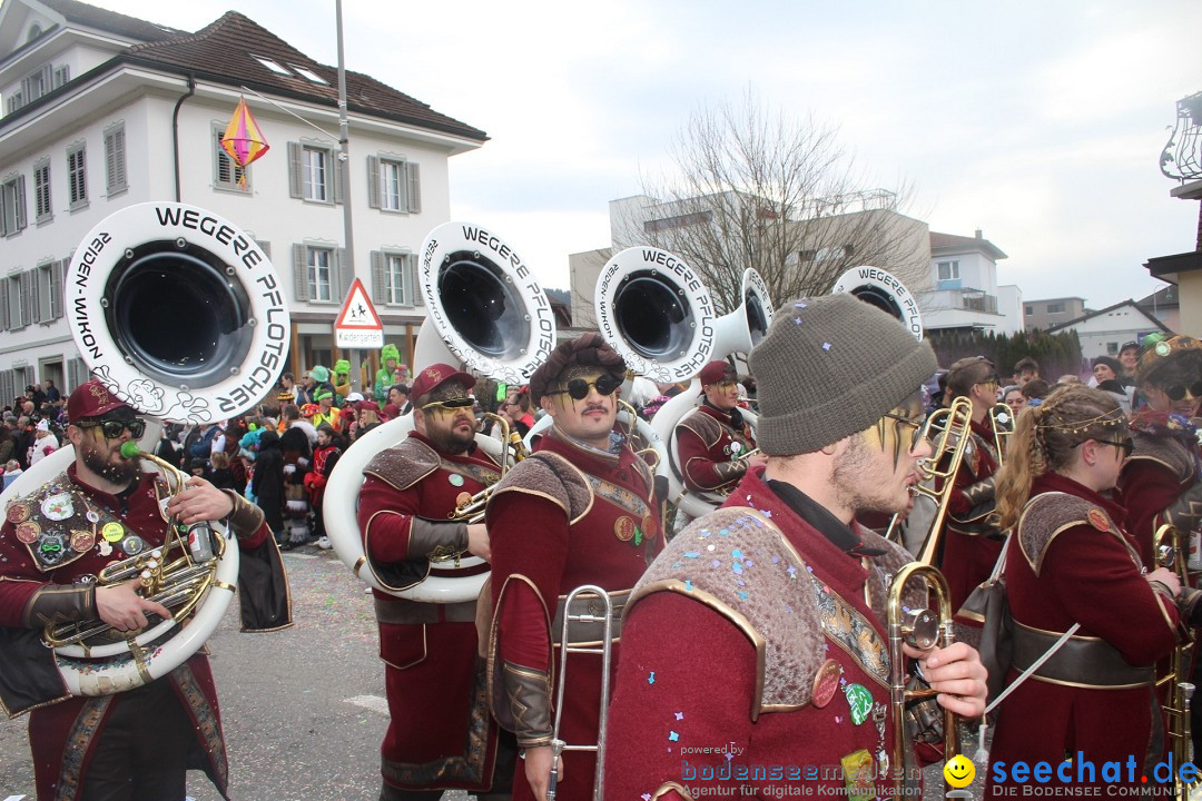 Fasnachtsumzug - Dagmersellen, 10.02.2024