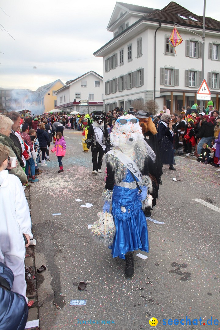 Fasnachtsumzug - Dagmersellen, 10.02.2024