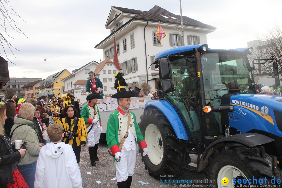 Fasnachtsumzug - Dagmersellen, 10.02.2024