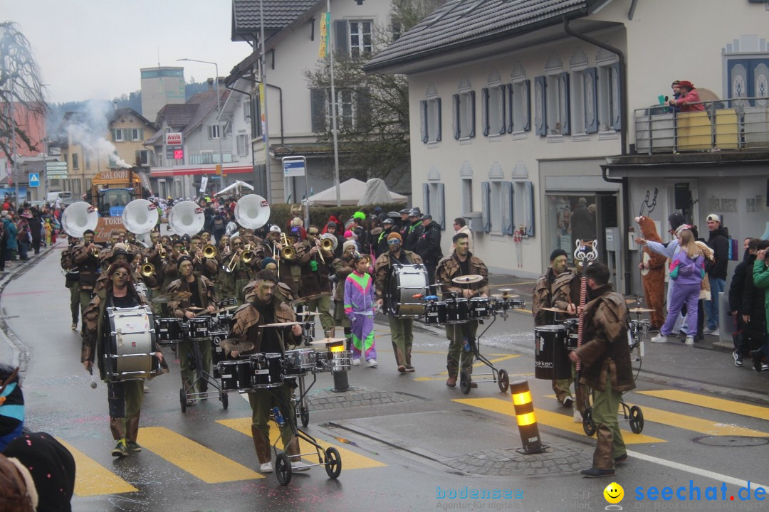 Fasnachtsumzug - Reiden, 09.02.2024