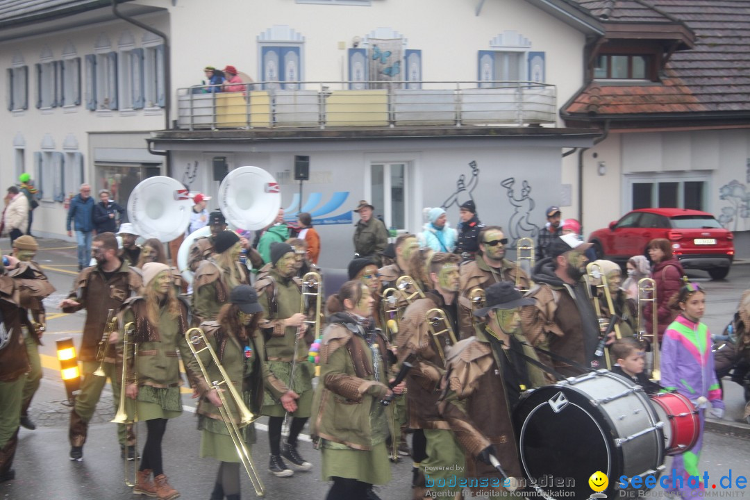 Fasnachtsumzug - Reiden, 09.02.2024